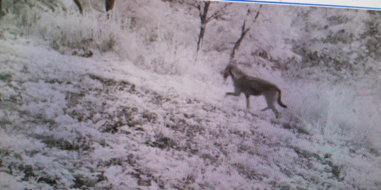 bb629567-3d60-4b24-b119-d198ec95a89e