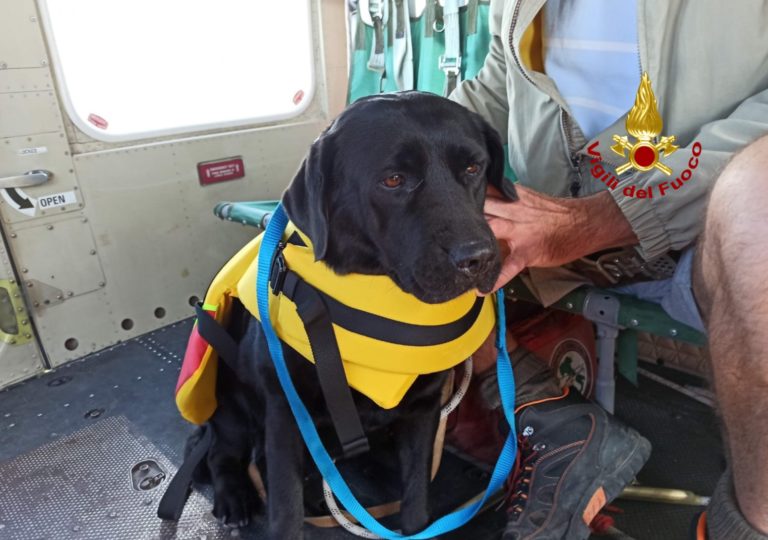 bdf8f429-3aa7-458b-abaa-76afaa3c43eb