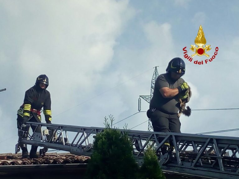 bec7f593-7c5e-44ad-90a9-6010011f64ab