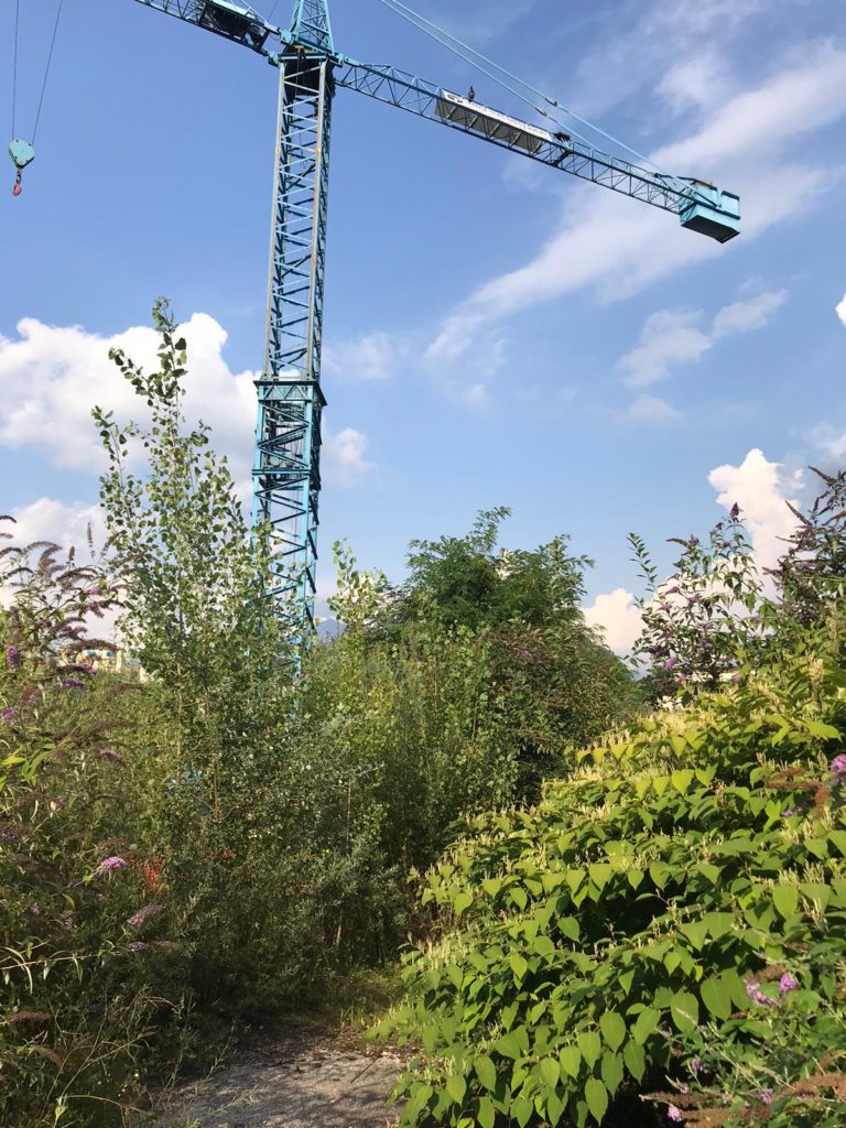 c8f56830-4410-4ed7-b780-1f92363a15f3