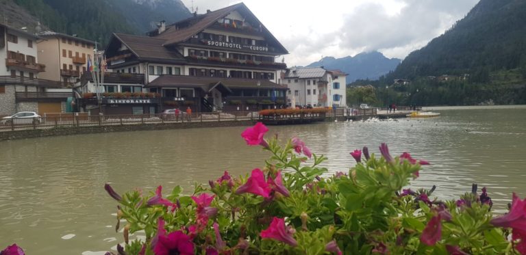 fc5944b3-7992-493f-89ac-5180483d0ca5