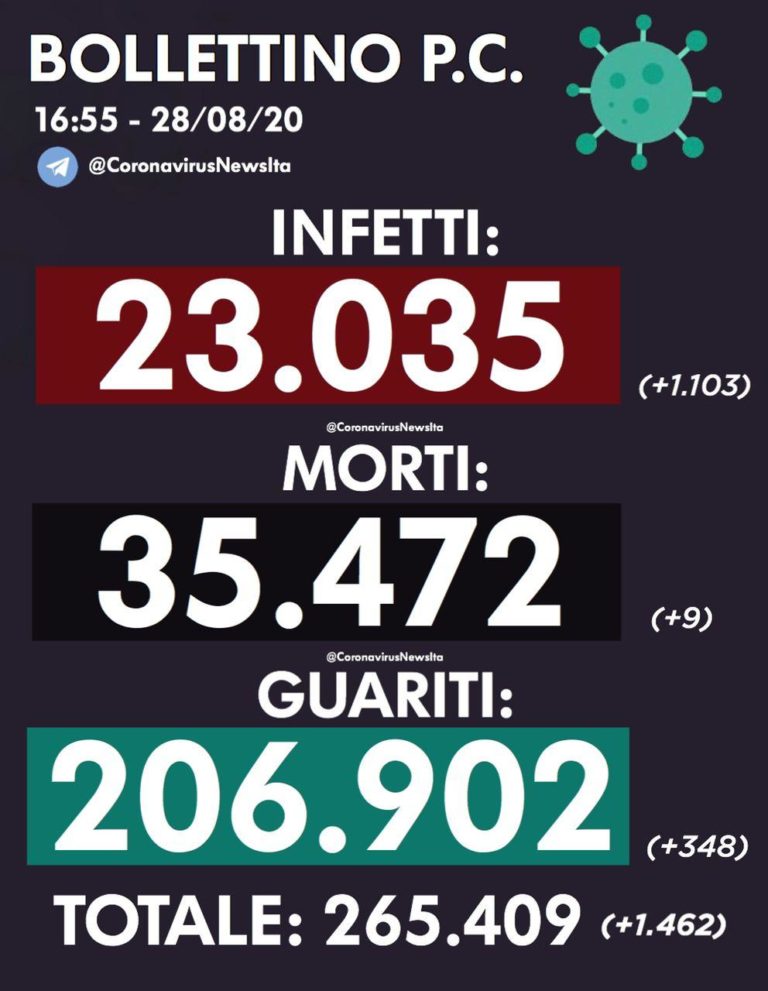 photo_2020-08-28_16-57-43