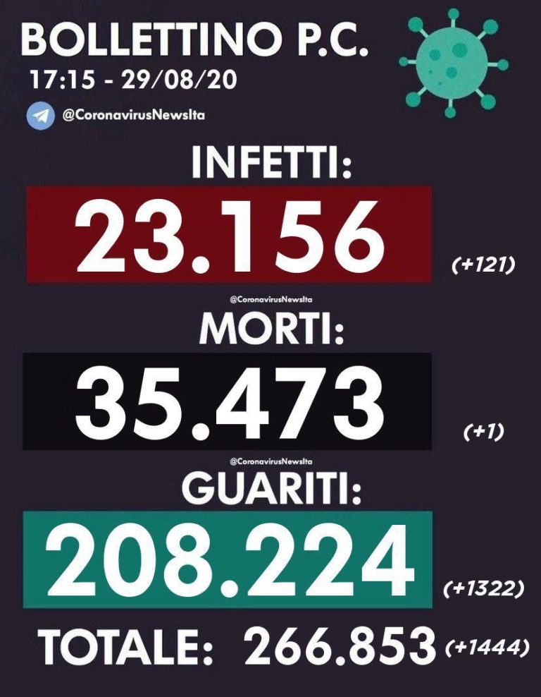 photo_2020-08-29_17-23-43