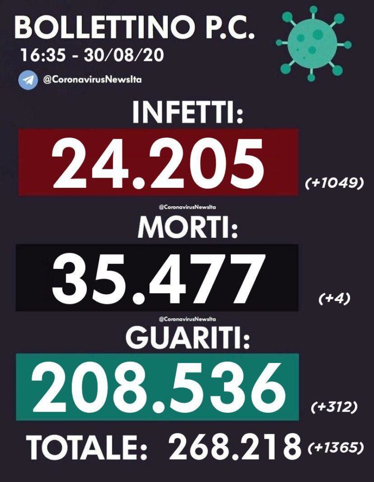 photo_2020-08-30_16-43-41