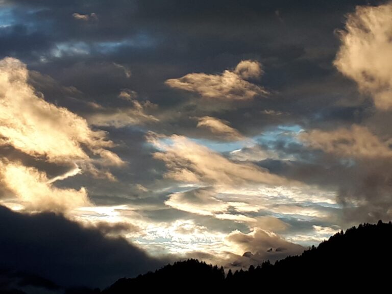 06a6f7a8-7dfb-4d2a-9615-066f24a7fb24