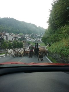 119964602_150181460101187_7611987403983739036_n