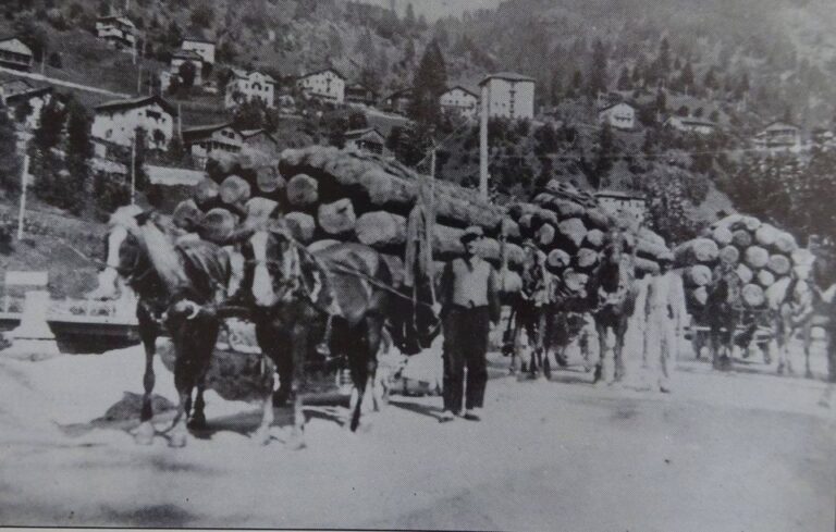 120453202_953688055115058_2039562674662851496_n