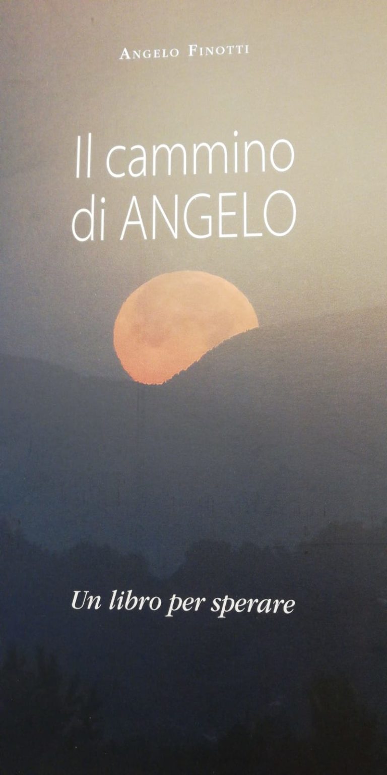 4e6ab70d-c94a-4215-83f2-fe7008b6880d