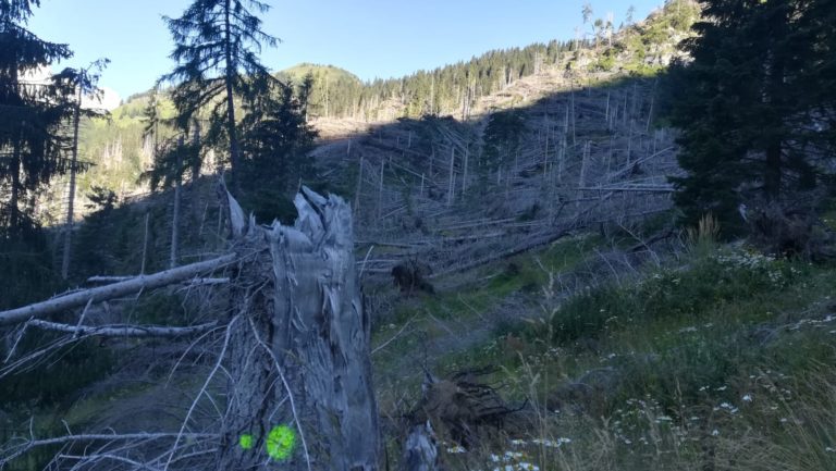 7063de9e-f21e-46b7-b202-0ef38f93eac5