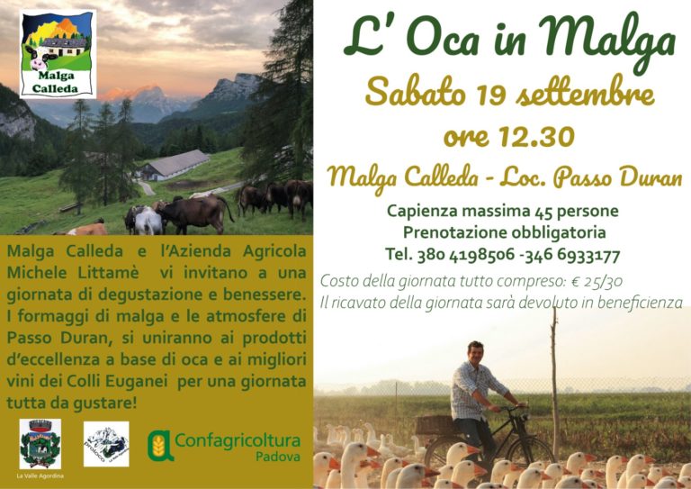 7d67ef31-5329-4c87-a9ae-e6f170c76d31