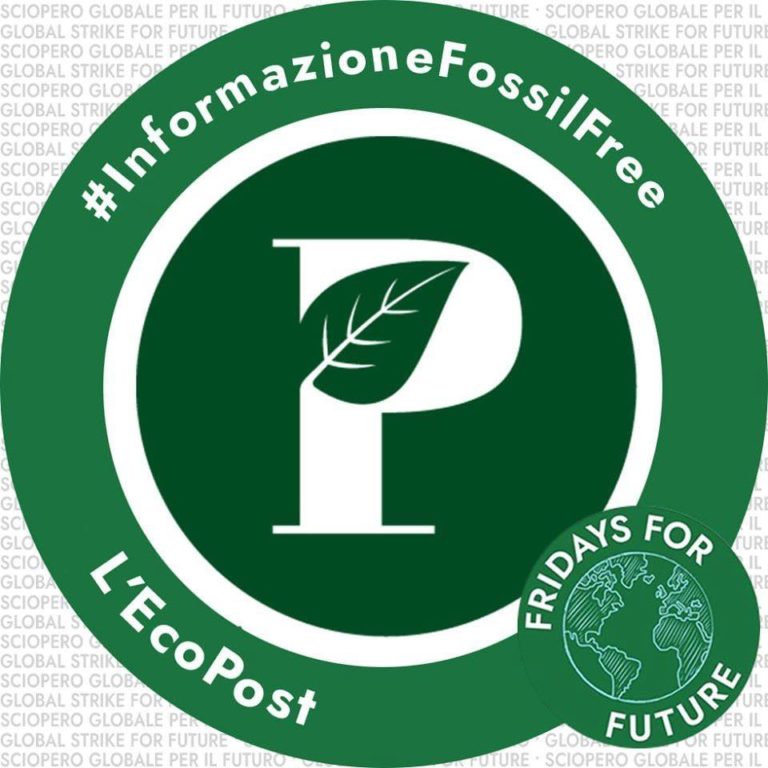 83639483_2636009226481533_5189965289948708864_n