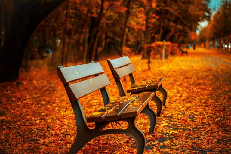AUTUNNO PANCHINA