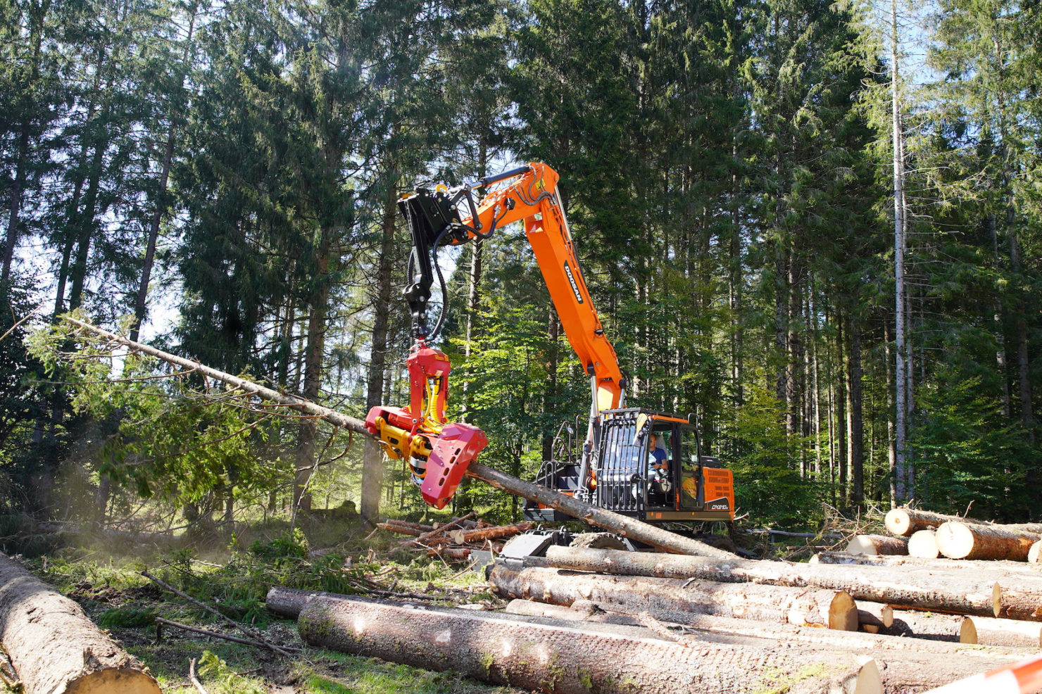 Cantieri dimostrativi in Cansiglio – FFF2020 – 12 e 13 settembre