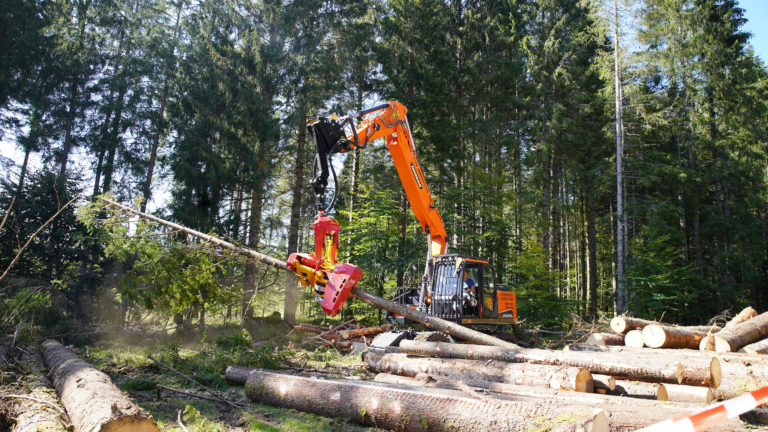 Cantieri dimostrativi in Cansiglio – FFF2020 – 12 e 13 settembre