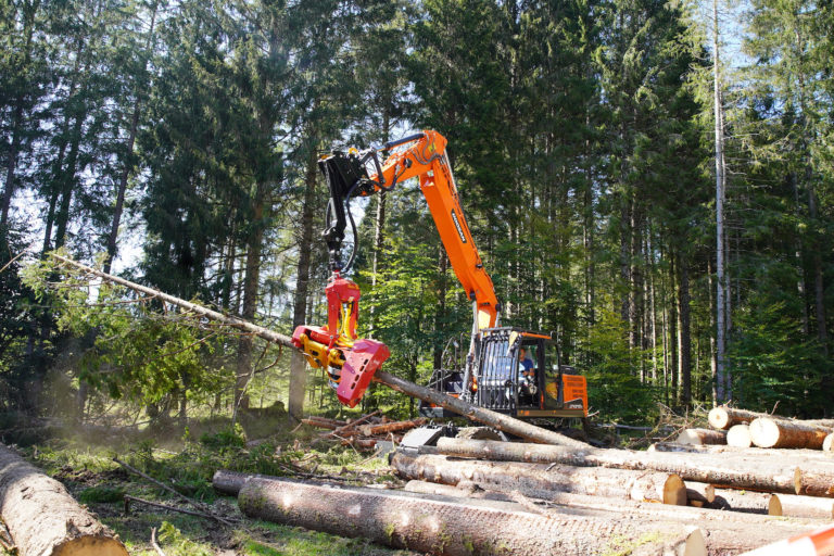 Cantieri dimostrativi in Cansiglio – FFF2020 – 12 e 13 settembre