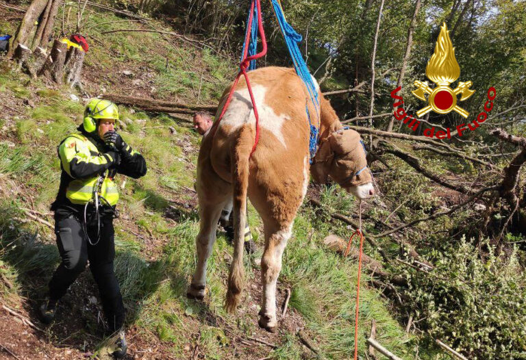 WhatsApp Image 2020-09-30 at 19.45.38 (1)