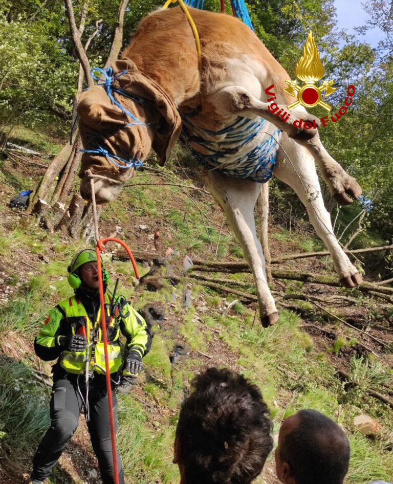 WhatsApp Image 2020-09-30 at 19.45.38 (2)