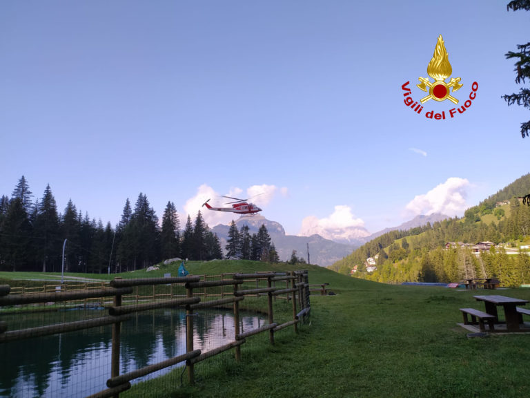 a941c15c-9add-4c5f-9c09-e498793e6496