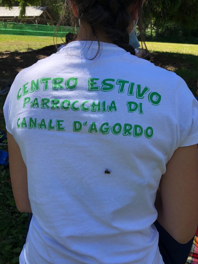 c3b5b30f-3c3a-494f-a4e9-c32c20431b5b