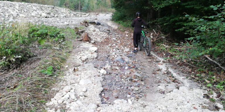 fc2c2212-57ef-4007-bebc-fd74b8e2472a