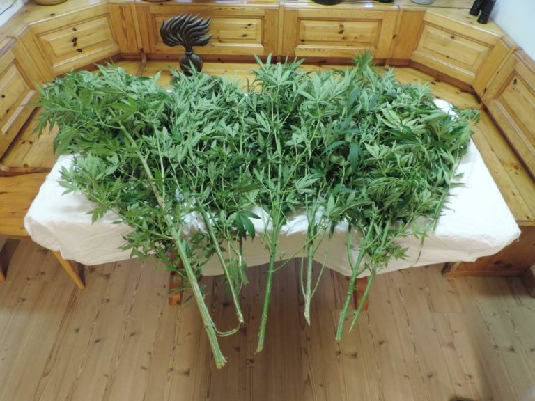 photo_2020-09-03_11-14-43