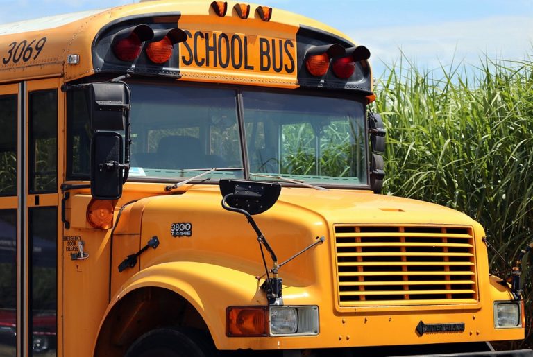 school-bus-4406479_960_720