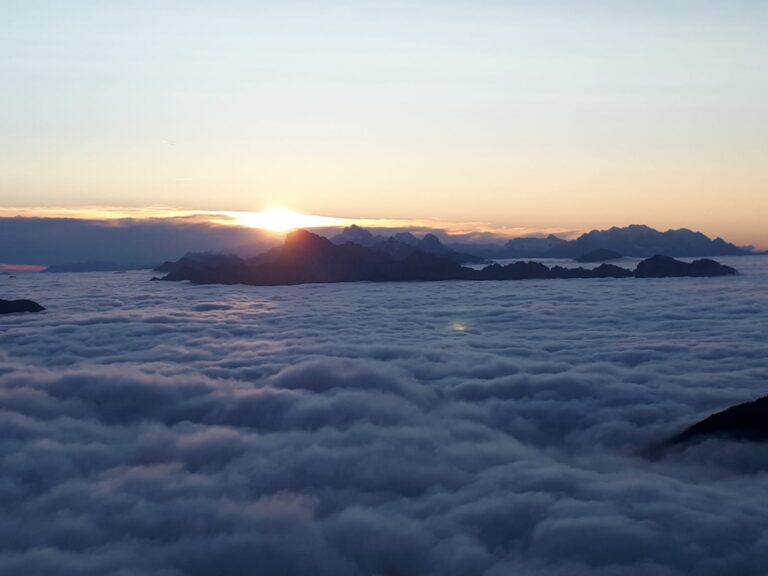 065189b0-d1e7-4598-81d8-64f5158ff412