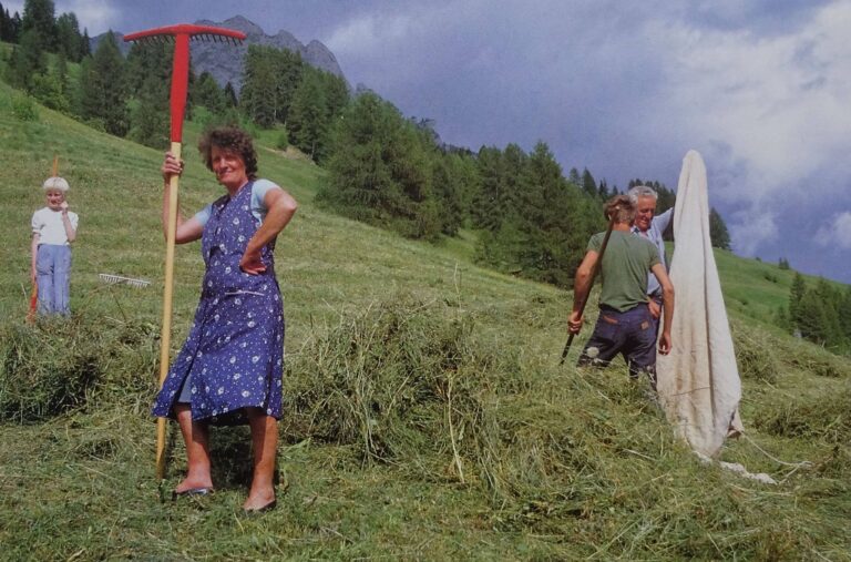 122042249_432545141041716_8923416717063549183_n