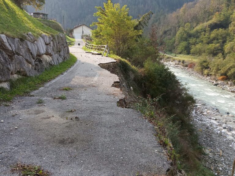 17d77655-4396-409d-b610-da1e0fae9479