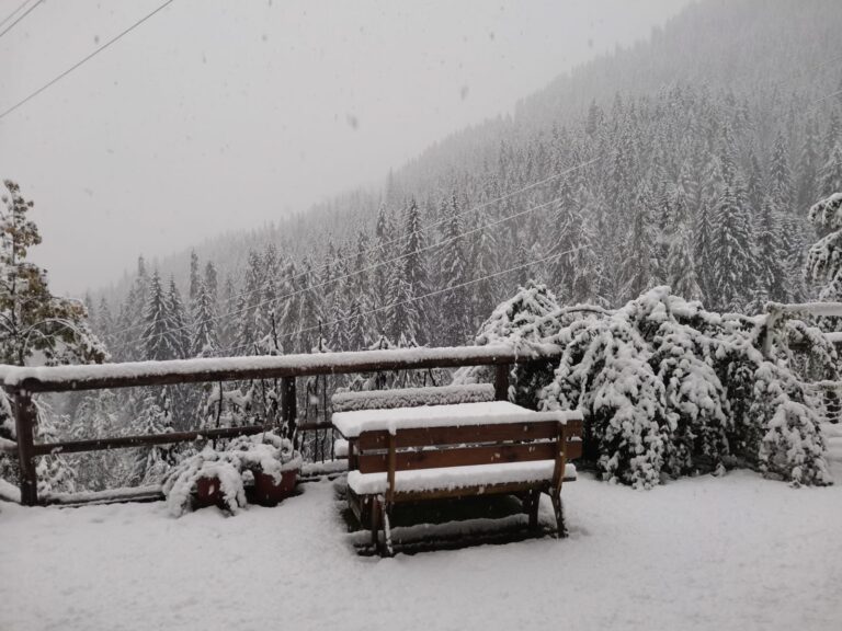 3de7e1b6-a25e-409c-a9f1-17b36ce86c10