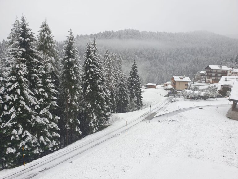 51a1df92-ecea-488e-ac8e-50488323cdcd