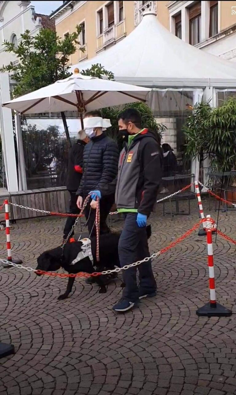 6c2773da-2e7b-4a0c-88eb-507cc1421b11