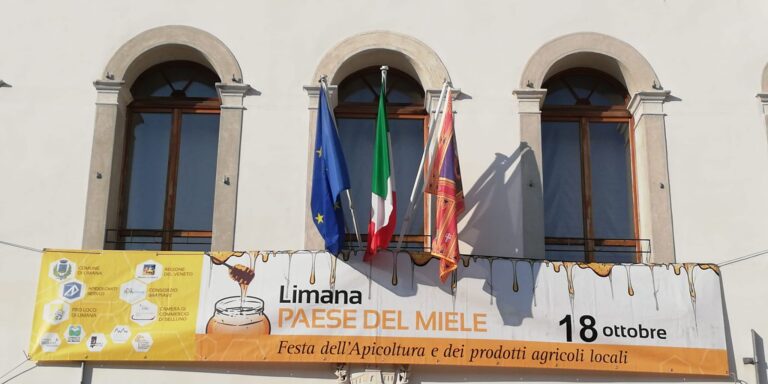 7d8cb6ee-7cdc-4b0a-9ae1-1cc06ca4e519