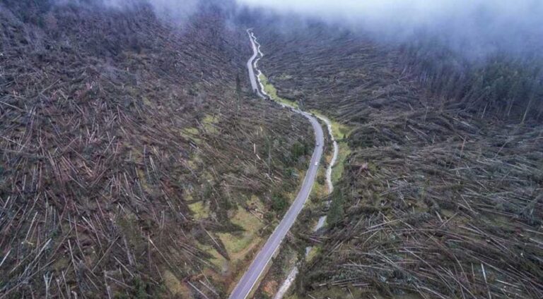 83455423_1368755759993002_8757494030859763712_o-932×515