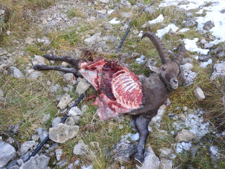 8aa6572e-7f0a-4a47-9735-cfa804f9cf71