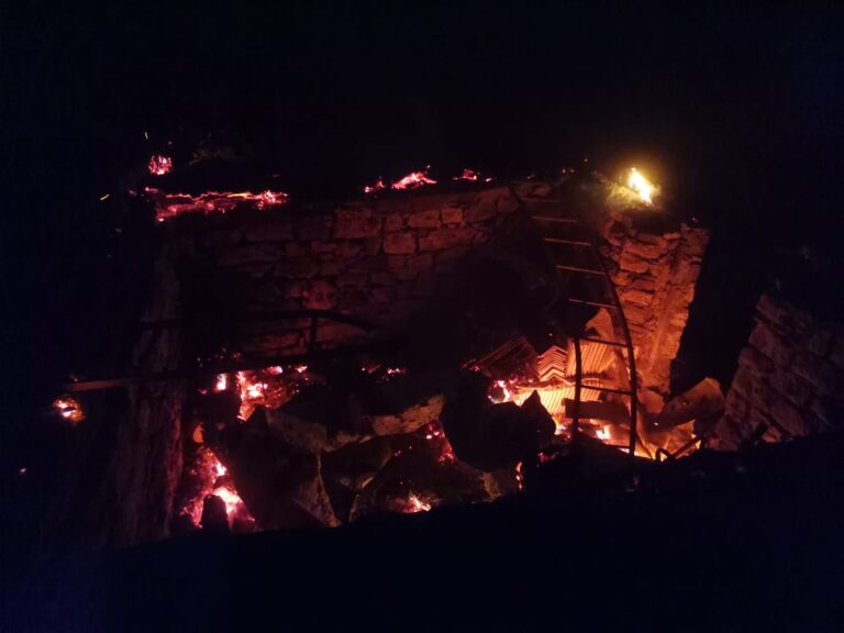 8b2ecaba-0988-4eda-a2d7-c435c419fae3