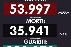 92174041-eb67-44a3-ac39-2f7b22e7e44a