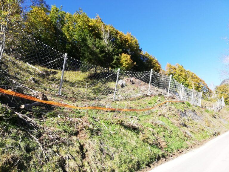 937d9b81-bc98-469e-be22-921cbfa5e0fb