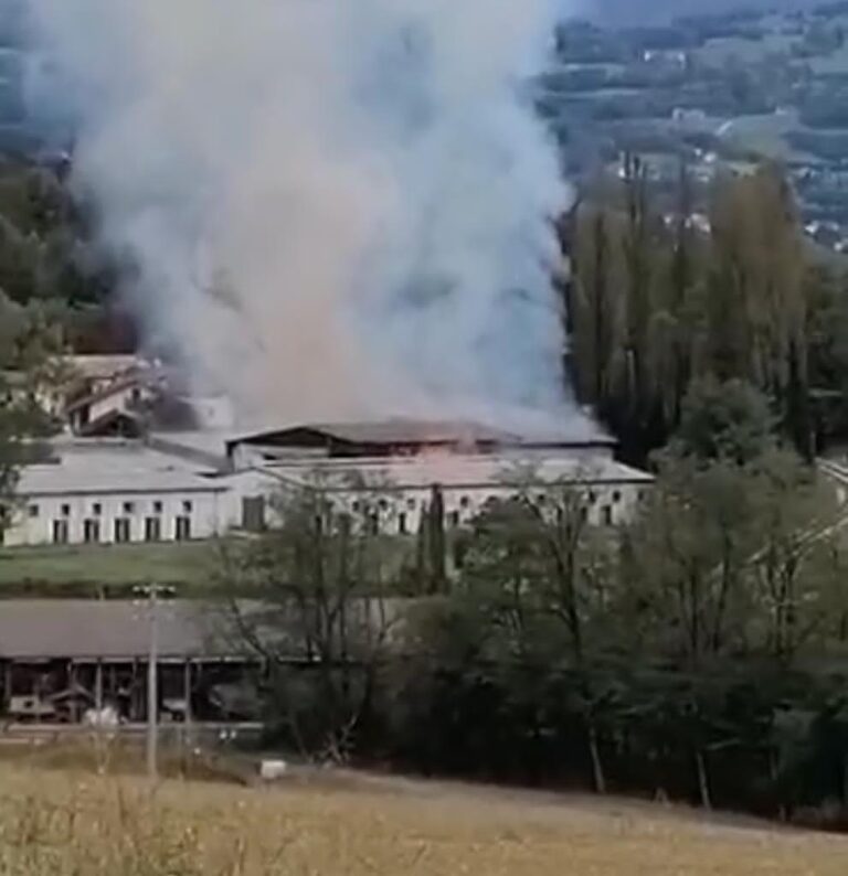 94d7d93b-d370-4b5f-93ec-f8a022ea628f