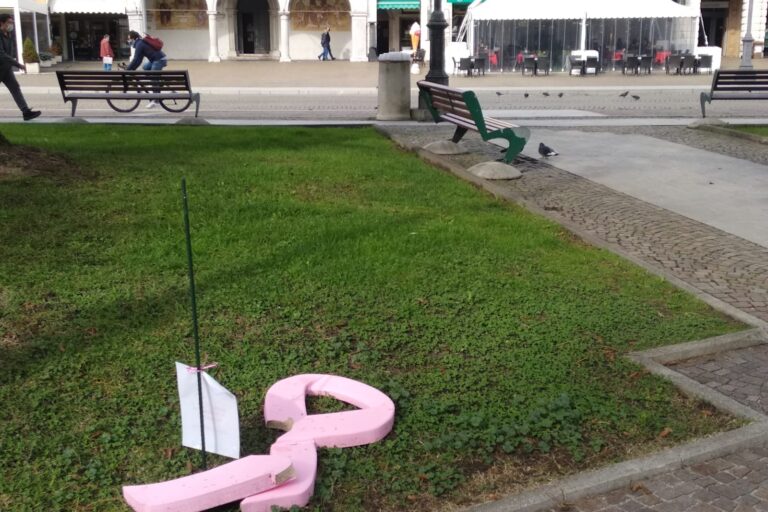 Fiocchi rosa danneggiati 29 10 (1)
