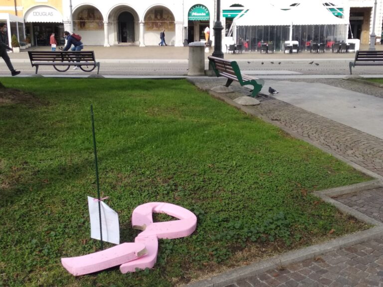 Fiocchi rosa danneggiati 29 10 (1)