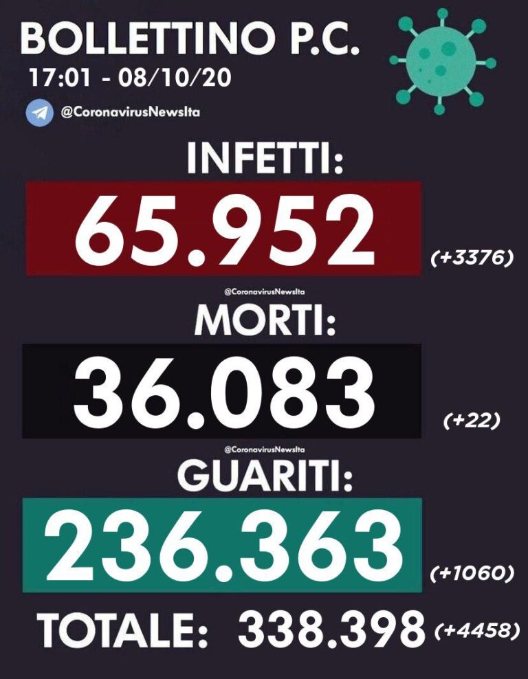 IMAGE 2020-10-08 17:04:38