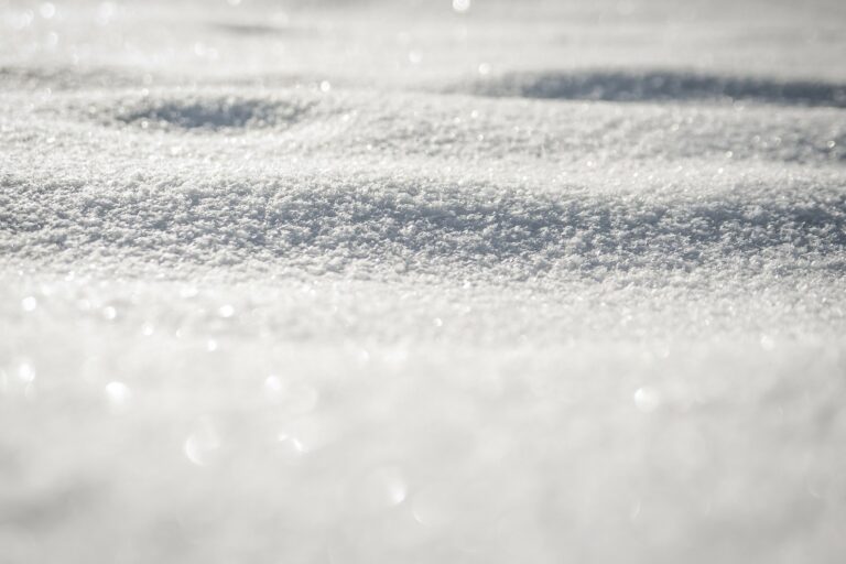 NEVE