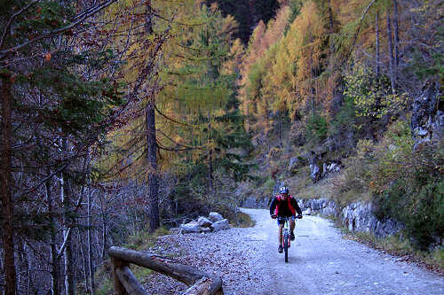 Pont-Col-di-Pra-San-Lucano-Foto-107