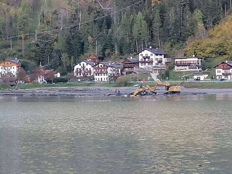 WhatsApp Image 2020-10-13 at 16.40.38