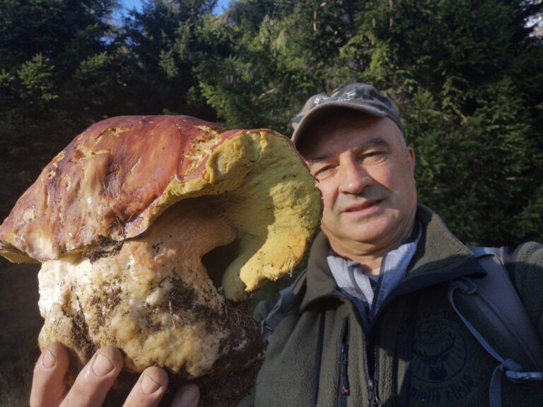 b865ea74-3ce2-40b3-8016-211e23ac504d