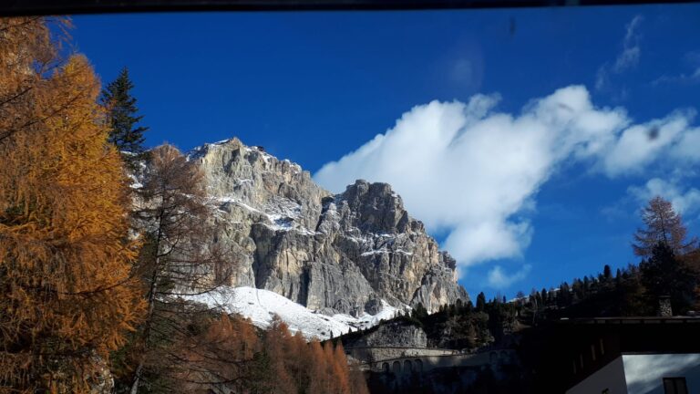 cbbb7341-63fc-47aa-9fbf-0cc024ecf17b