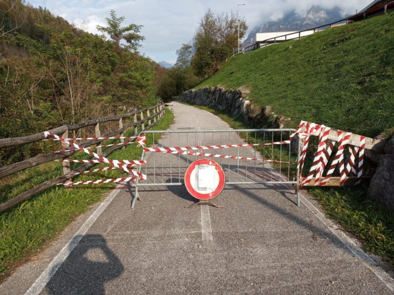 cf236de3-7dc0-40d0-8ab7-336d5d0dfc10