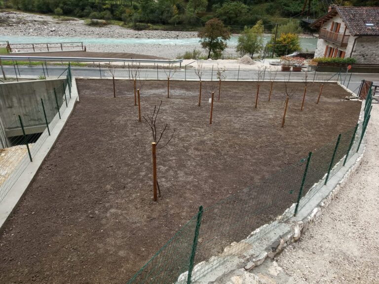 d84a3171-333d-4a4d-a053-011f15024086