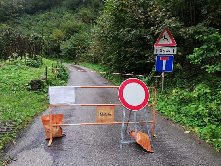 f98a2bd3-ca86-4e3a-8c74-8530a5b8d57c